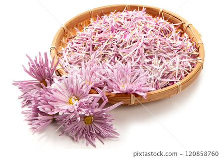 Edible chrysanthemums, a Yamagata specialty, are beyond compare. Edible chrysanthemums, a Yamagata specialty, are beyond compare. 120858760