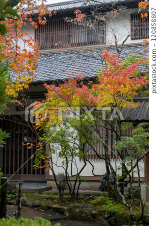 Beautiful autumn foliage viewing spots on rainy days 120858807