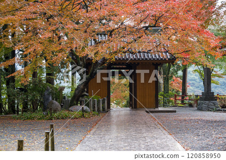 A beautiful spot for viewing autumn leaves A beautiful spot for viewing autumn leaves 120858950