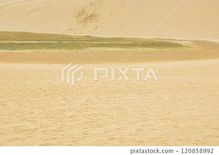 Tottori Sand Dunes with a continuous sandy land Tottori Sand Dunes with a continuous sandy land 120858992