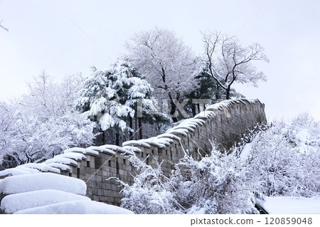 a serene winter landscape with snow-covered trees and a tall stone wall. The ground is completely blanketed in snow, and the scene is tranquil and peaceful. a serene winter landscape with snow-covered trees and a tall stone wall. The ground is completely blanketed in snow, and the scene is tranquil and peaceful. 120859048