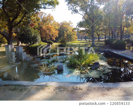 A park with a pond A park with a pond 120859133