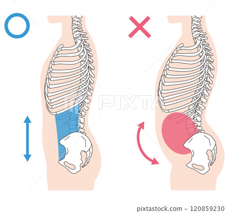 Rib gap, arched back, correct posture and arched back posture Rib gap, arched back, correct posture and arched back posture 120859230