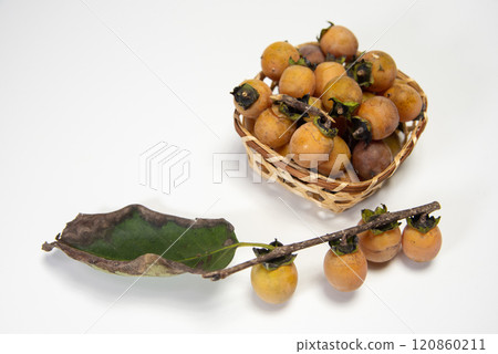 Harvested persimmons 120860211