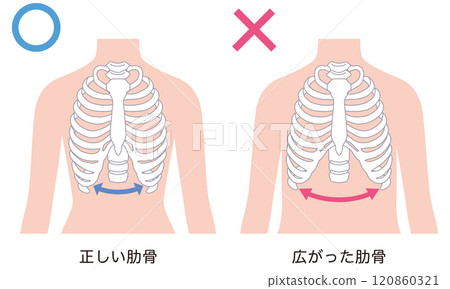 開放式肋骨 封閉式肋骨 120860321