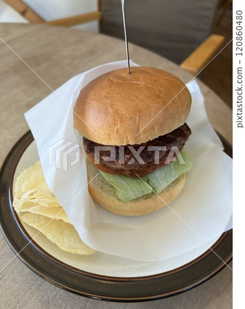 Standard Hamburger 120860480