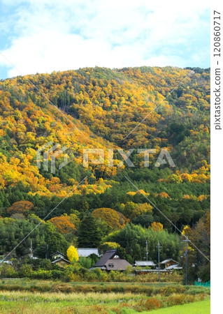 老民居與山裡的秋天 老民居與山裡的秋天 120860717