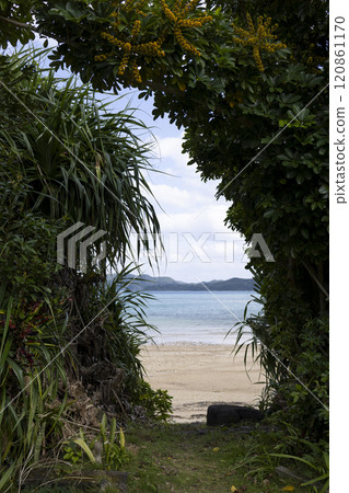 奄美大島美麗的海岸 120861170