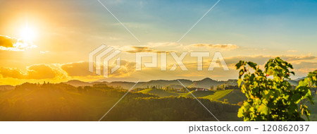 Vineyards panorama along Styrian wine road, Austria Europe 120862037