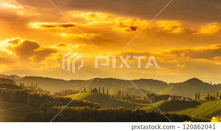Vineyards panorama along Styrian wine road, Austria Europe 120862041