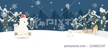 冬季森林景觀夜間，可愛的北極熊家庭和孩子 120862197