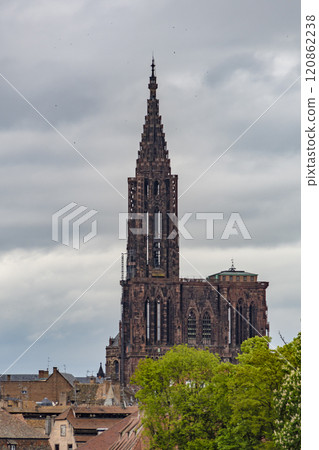Strasbourg Cathedral Strasbourg Cathedral 120862238