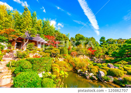 京都東神院的秋天 京都東神院的秋天 120862707