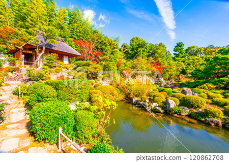 京都東神院的秋天 120862708