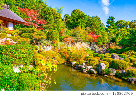 京都東神院的秋天 120862709