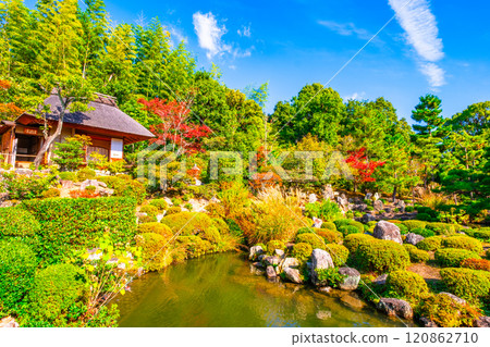 京都東神院的秋天 京都東神院的秋天 120862710