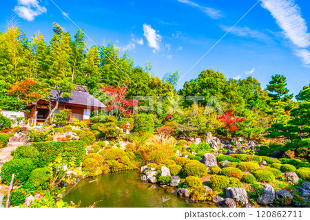 京都東神院的秋天 120862711