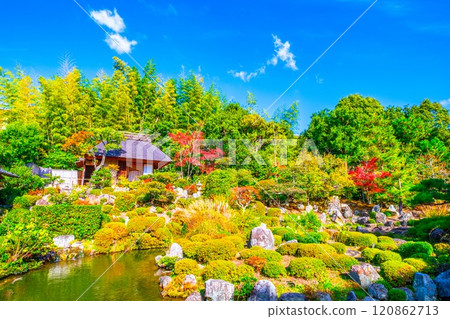 京都東神院的秋天 120862713