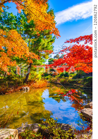 錦秋京都東寺院秋葉生氣勃勃 錦秋京都東寺院秋葉生氣勃勃 120862792