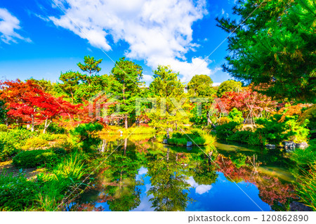 錦秋京都東寺院秋葉生氣勃勃 120862890