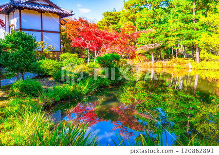 錦秋京都東寺院秋葉生氣勃勃 120862891