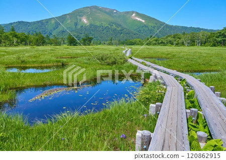 從上代到千東、涉毛山的群馬縣尾瀨夏日景色 120862915
