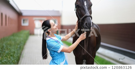 Woman veterinarian looks at the horse 120863126