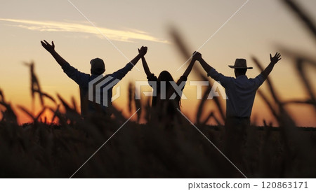 three farmers wheat field raised their hands up, agriculture, teamwork farmer agriculture, harvesting, group people, community farmers, Wheat field silhouettes sunset, Farmers united wheat field 120863171