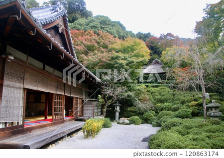 金福寺/日本花園（京都府左京區） 120863174