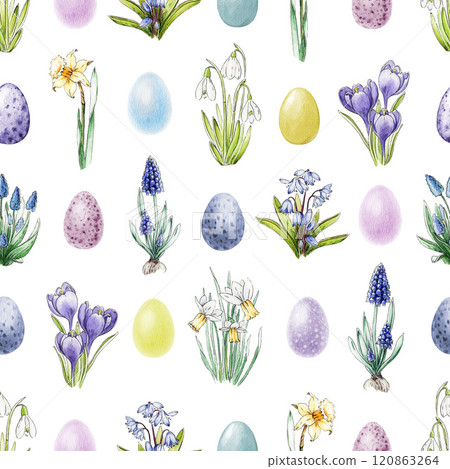 Primrose flowers with painted Easter eggs seamless pattern on white background. Hand drawn spring garden flowers in tender pastel colors for decor, backgrounds, gift wrap, holiday projects 120863264