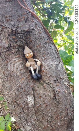 樹的仙女 120863393