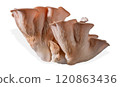Isolated pink oyster mushroom cut out on white background. 120863436