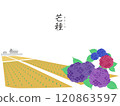 Color wallpaper illustration of the twenty-four solar terms 120863597