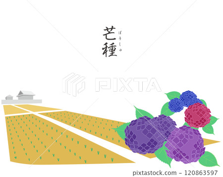 Color wallpaper illustration of the twenty-four solar terms Color wallpaper illustration of the twenty-four solar terms 120863597