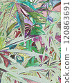 大量大麻葉的彩色藝術插圖（2） 120863691