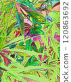 大量大麻葉的多彩時尚插畫（1） 120863692