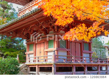 秋天的神戶，太山寺，三重塔和秋天的落葉 120863864