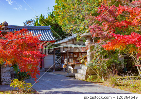 神戶/台山寺/中門 神戶/台山寺/中門 120864649