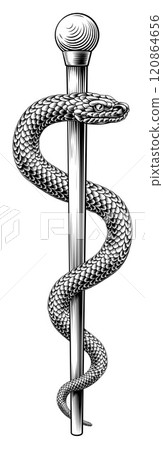 Rod of Asclepius Caduceus Medical Doctor Symbol Rod of Asclepius Caduceus Medical Doctor Symbol 120864656