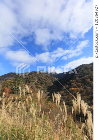 深秋的四國、紅葉的劍山(從國道439號線看) 深秋的四國、紅葉的劍山(從國道439號線看) 120864927