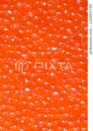 一整盤北海道醬油醃鮭魚子 120865798