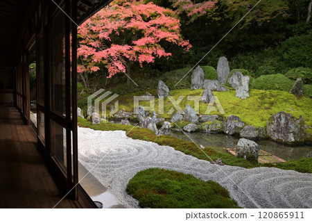 觀代寺庭園（山口縣周南市鹿野） 120865911