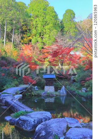 Autumn at Zensui-ji Temple (Hyakuden Pond, Konan City, vertical composition) Autumn at Zensui-ji Temple (Hyakuden Pond, Konan City, vertical composition) 120865963