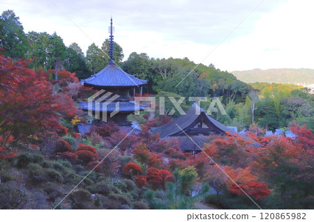 秋天的常樂寺(甲南市國寶大雄寶殿、國寶三層塔) 秋天的常樂寺(甲南市國寶大雄寶殿、國寶三層塔) 120865982