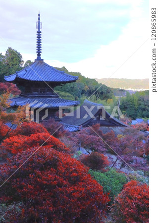 秋天的常樂寺（甲南市國寶大雄寶殿和國寶三層塔，垂直構圖） 120865983
