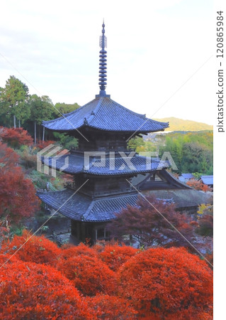 秋天的常樂寺（甲南市國寶三層塔，垂直構圖） 120865984