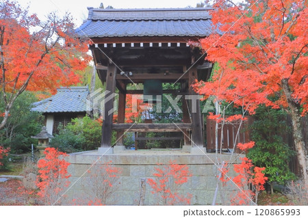 秋天的常樂寺(甲南市鐘樓) 秋天的常樂寺(甲南市鐘樓) 120865993