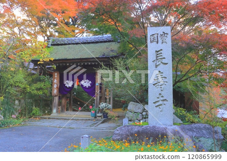 Chojuji Temple in autumn (Sanmon Gate, Konan City) 120865999