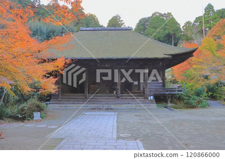 秋天的長壽寺（甲南市國寶大雄寶殿） 120866000