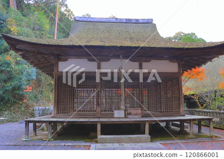 Chojuji Temple in Autumn (Konan City) 120866001